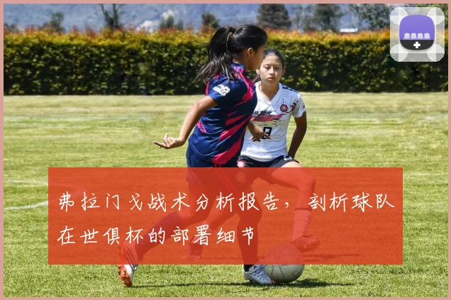 弗拉门戈战术分析报告，剖析球队在世俱杯的部署细节
