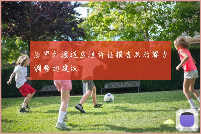 法甲外援适应性评估报告及对赛季调整的建议