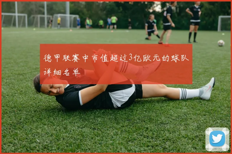 德甲联赛中市值超过3亿欧元的球队详细名单