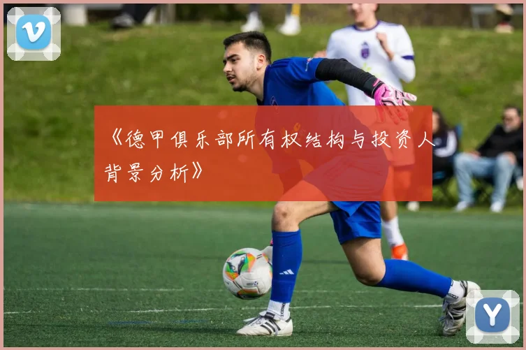 《德甲俱乐部所有权结构与投资人背景分析》