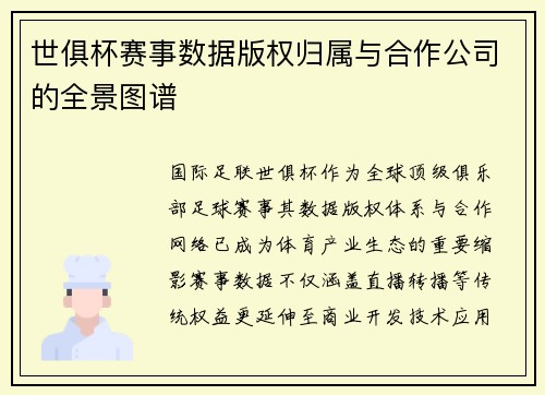 世俱杯赛事数据版权归属与合作公司的全景图谱
