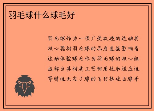 羽毛球什么球毛好